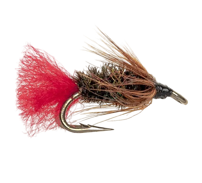 TROUT DOUBLE FLY RED TAG