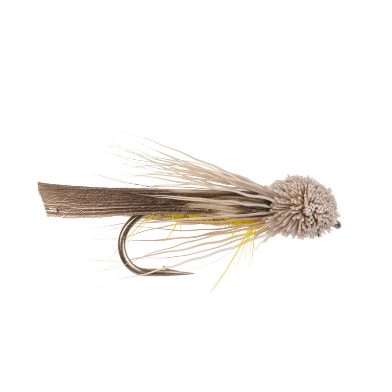 COARSE FLY LETORT HOPPER