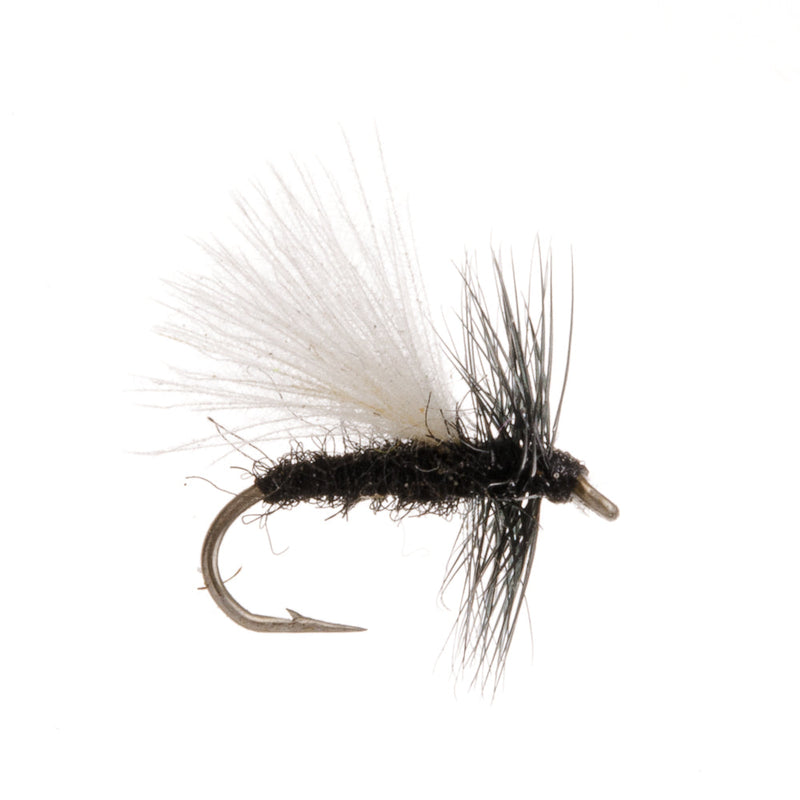 COARSE FLY CDC BLACK GNAT