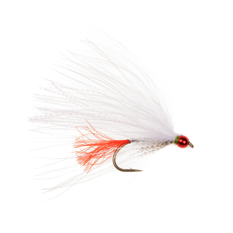 COARSE FLY PERCH SPECIAL