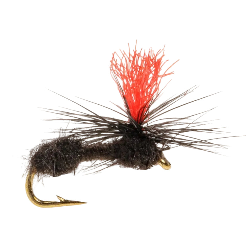 COARSE FLY ANT HI VIS
