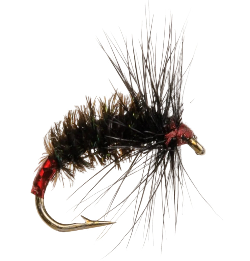 COARSE FLY BLACK PEACOCK RED HOLO