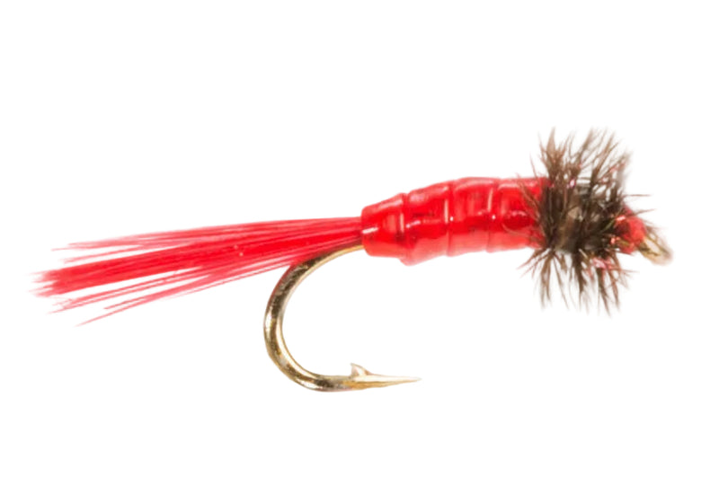 COARSE FLY BLOODWORM MICRO