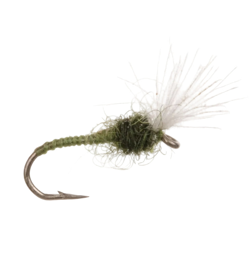 COARSE FLY CDC BUZZER OLIVE