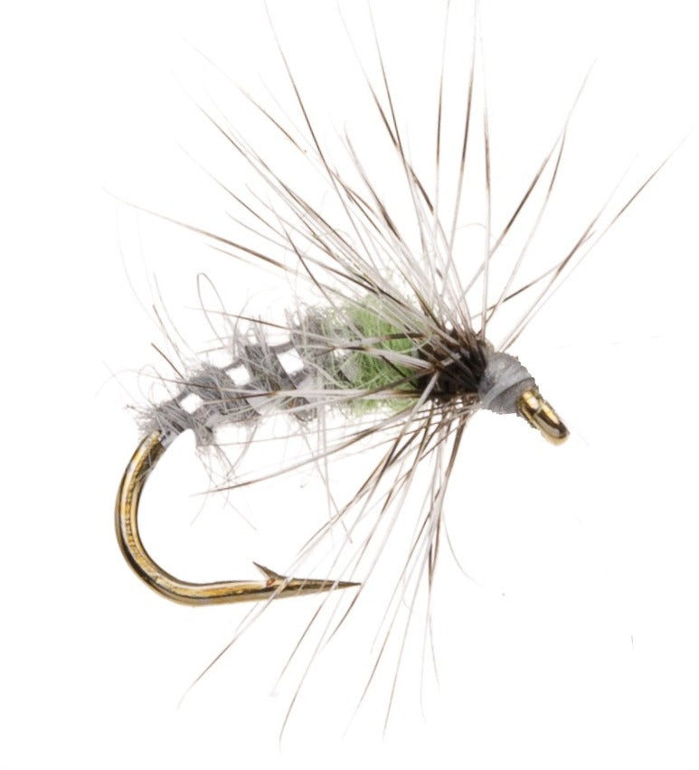 COARSE FLY RUDD BUG LIME