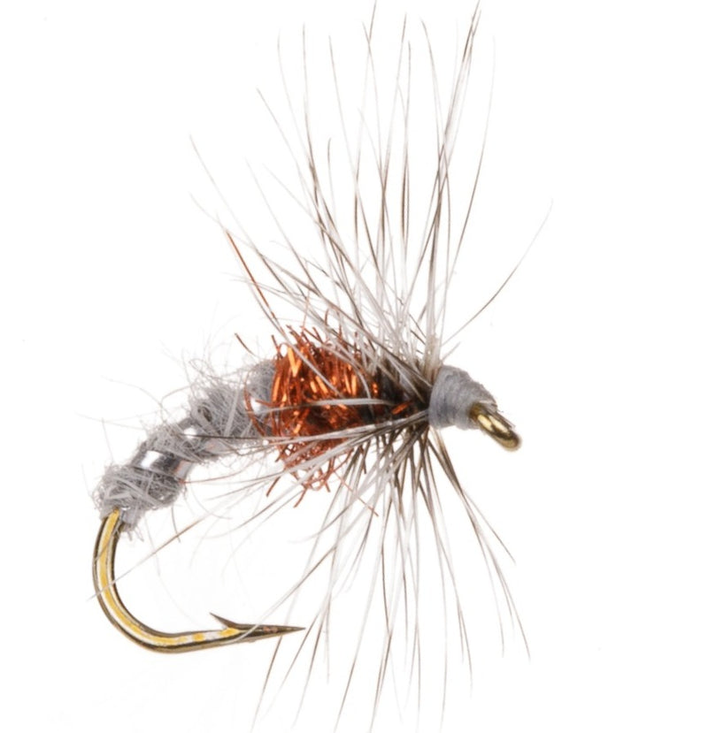 COARSE FLY RUDD BUG ORANGE