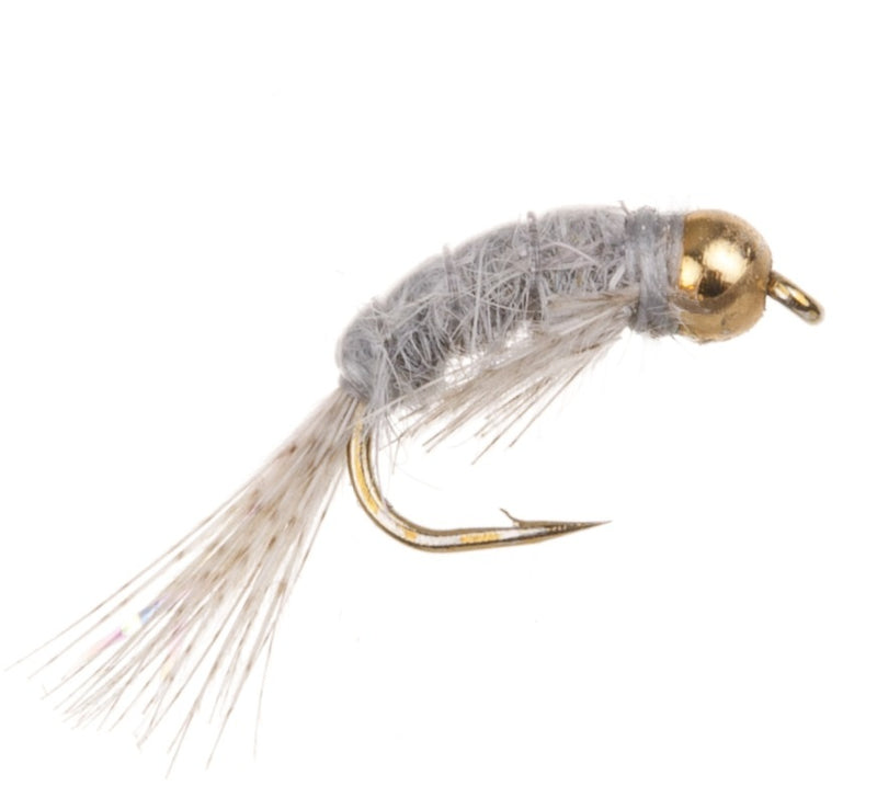 COARSE FLY SHRIMP TAN