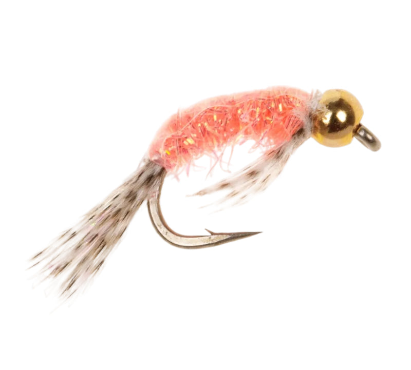COARSE FLY SHRIMP PINK