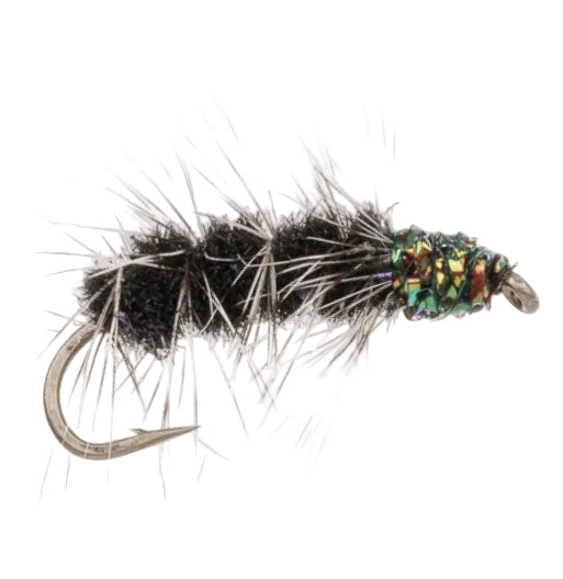 TERRESTRIAL FLY CATERPILLAR BLACK