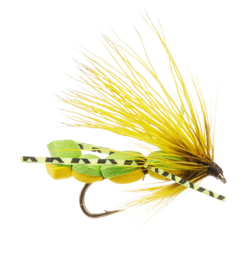 TERRESTRIAL FLY DOM'S GRASSHOPPER