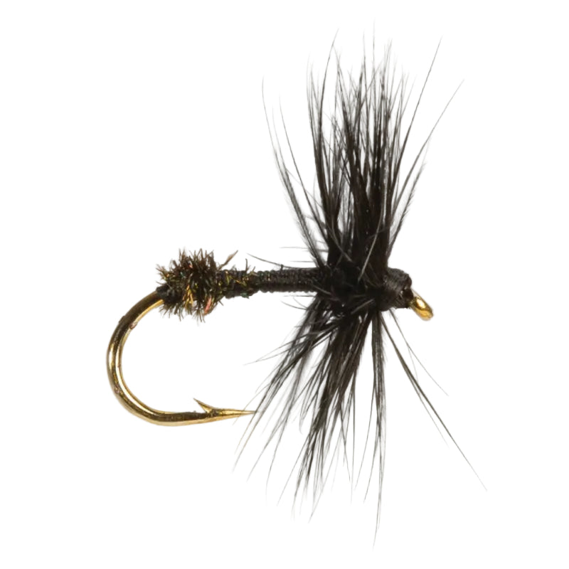 DRY HACKLED FLY BLACK ANT