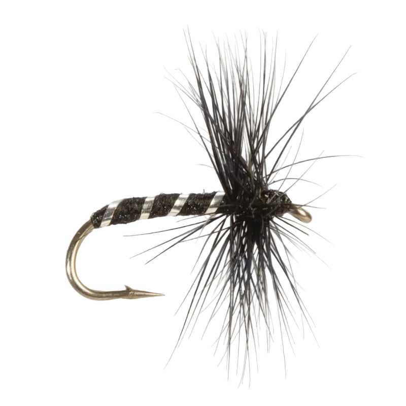 DRY HACKLED FLY BLACK MIDGE