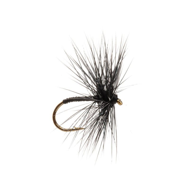 DRY HACKLED FLY BLACK SPIDER