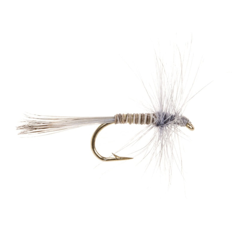 DRY HACKLED FLY BLUE QUILL