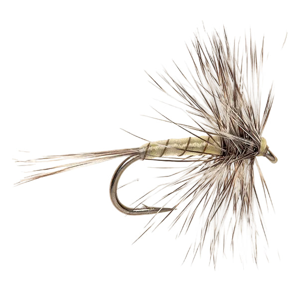 DRY HACKLED FLY GRIZZLE & YELLOW