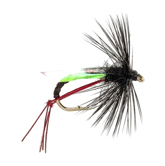 DRY HACKLED FLY PEARL WING HEATHER FLY