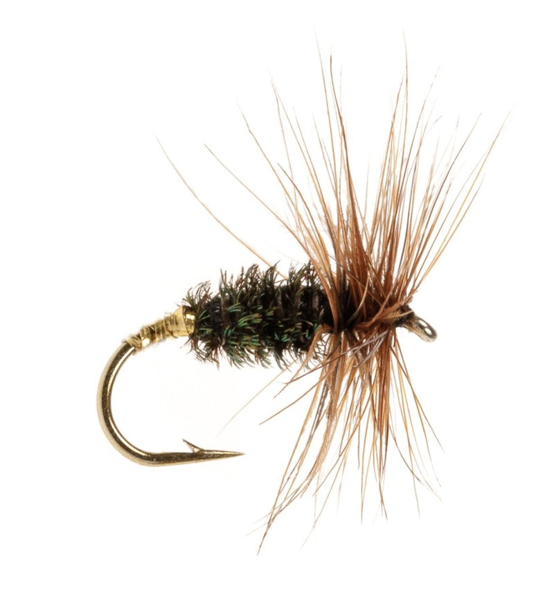DRY HACKLED FLY COCH-Y-BONDHU