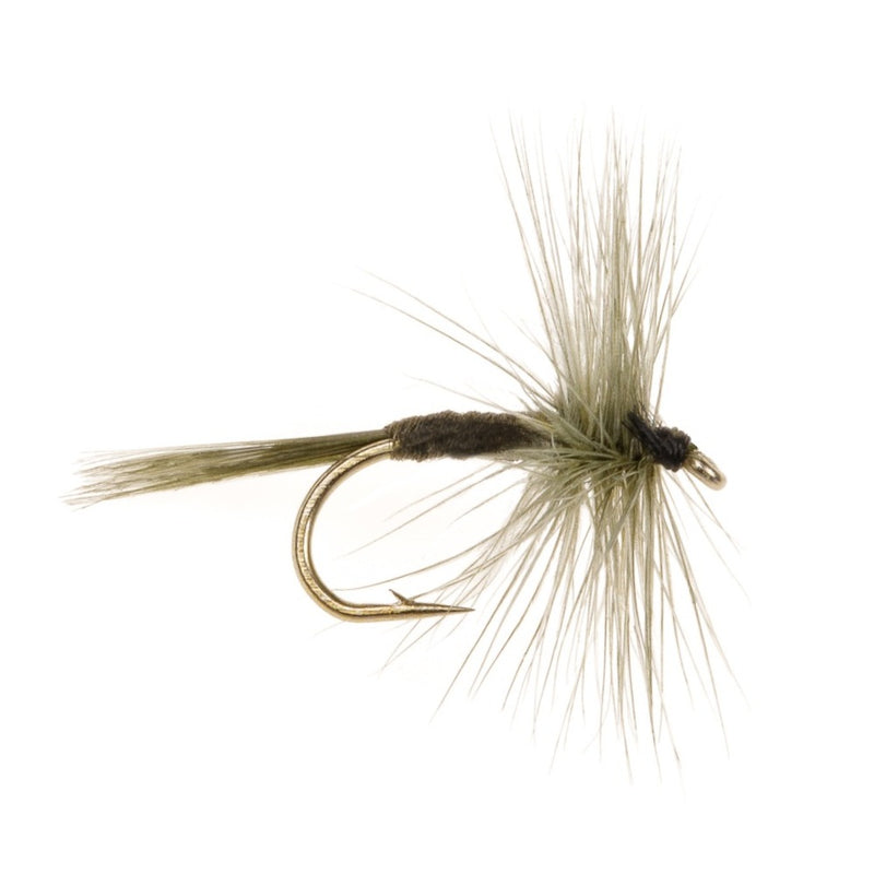 DRY HACKLED FLY DARK OLIVE