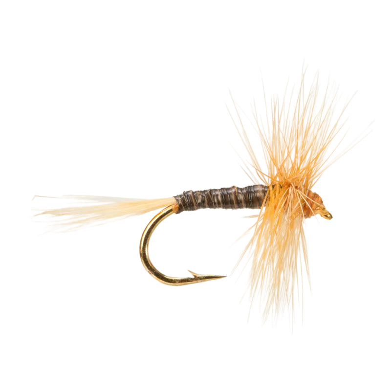 DRY HACKLED FLY GINGER QUILL