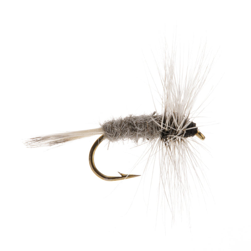 DRY HACKLED FLY GREY DUSTER