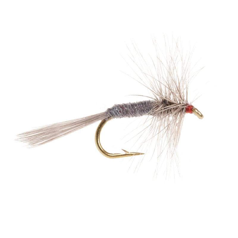 DRY HACKLED FLY IRON BLUE DUN