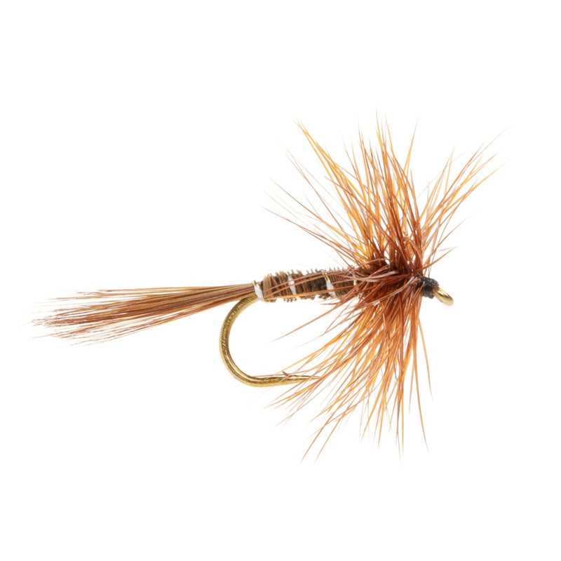 DRY HACKLED FLY PHEASANT TAIL