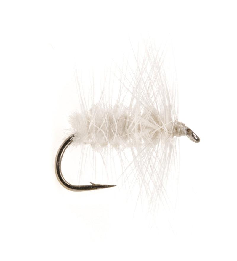 DRY HACKLED FLY WHITE MOTH