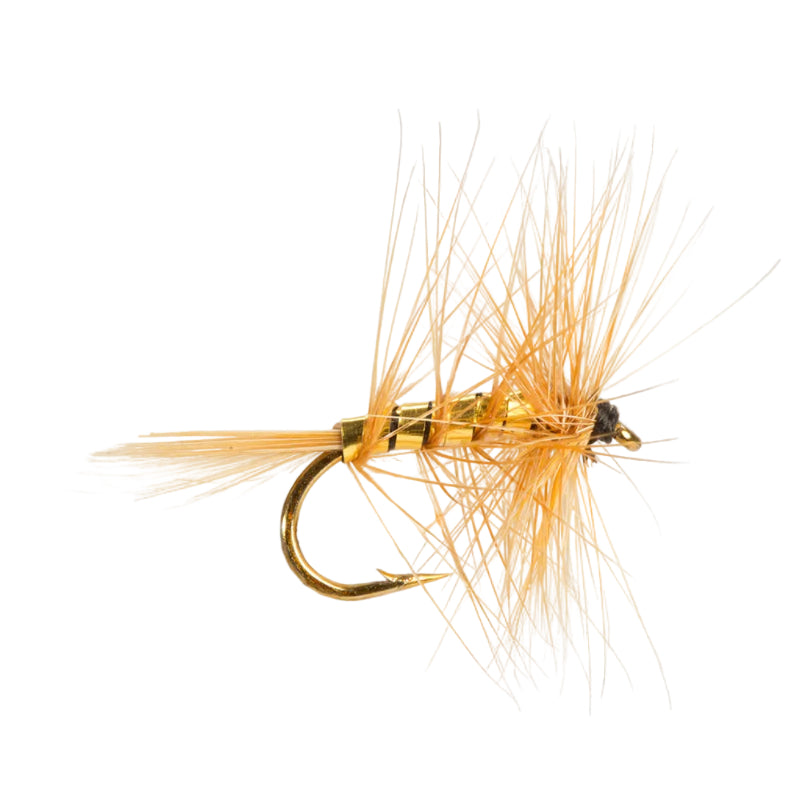 DRY HACKLED FLY WICKHAM'S FANCY