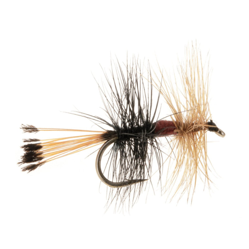 DRY HACKLED FLY FEMUNDS REGULAR