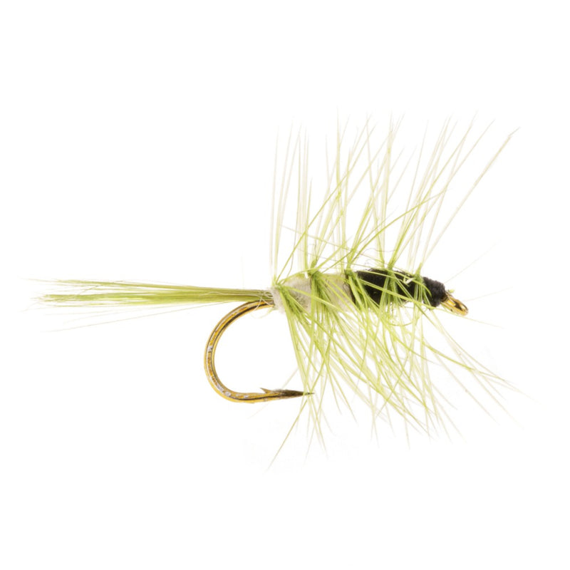 DRY HACKLED FLY SUPER PUPPA OLIVE & BLACK