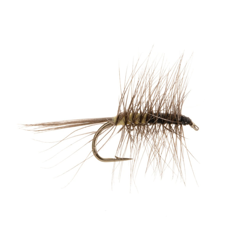 DRY HACKLED FLY SUPER PUPPA CREAM & BLACK