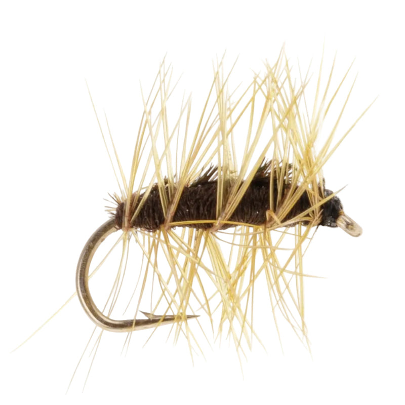 DRY HACKLED FLY CRACKLEBACK BROWN