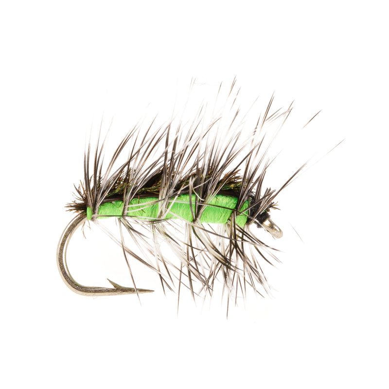 DRY HACKLED FLY CRACKLEBACK CHARTREUSE