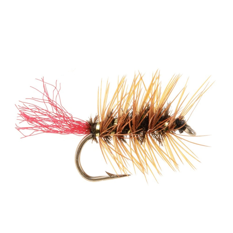 DRY HACKLED FLY GRAYLING WITCH