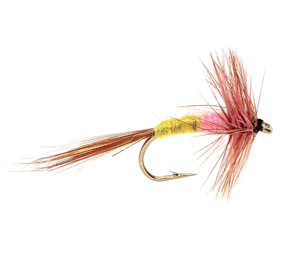 DRY HACKLED FLY PINK TUP'S INDISPENSABLE
