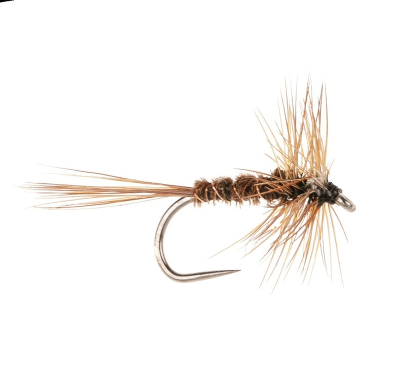 DRY HACKLED BARBLESS FLY PHEASANT TAIL