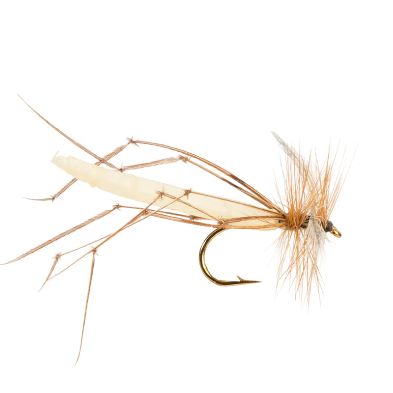 DADDY LONG LEGS FLY DETACHED BODY