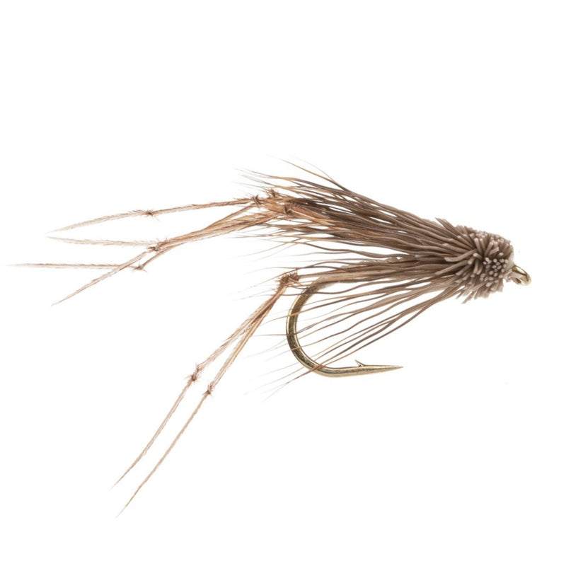 DADDY LONG LEGS FLY MUDDLE HEADED