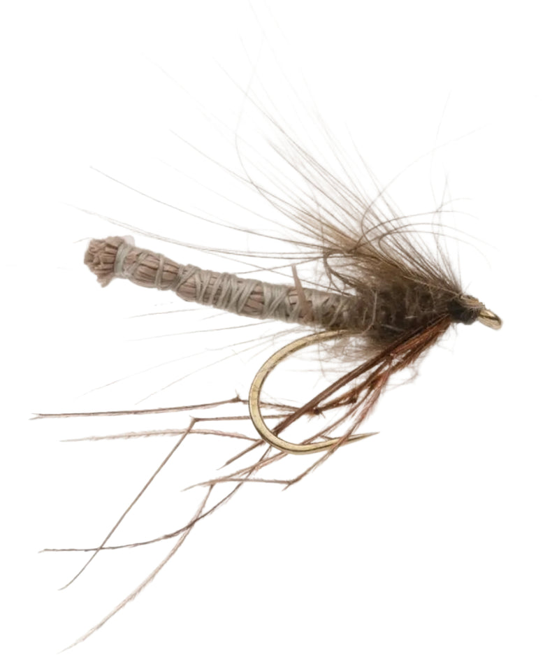DADDY LONG LEGS FLY CDC