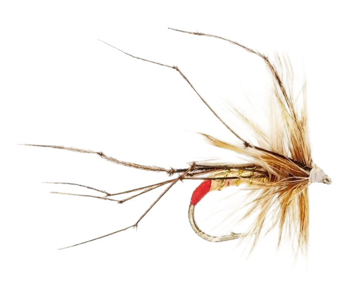 DADDY LONG LEGS FLY DADDY LONG LEGS RED BUTT