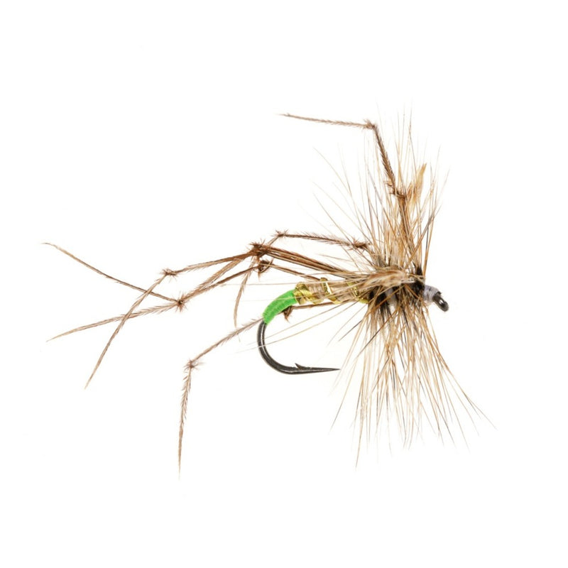DADDY LONG LEGS FLY DADDY LONG LEGS LIME BUTT