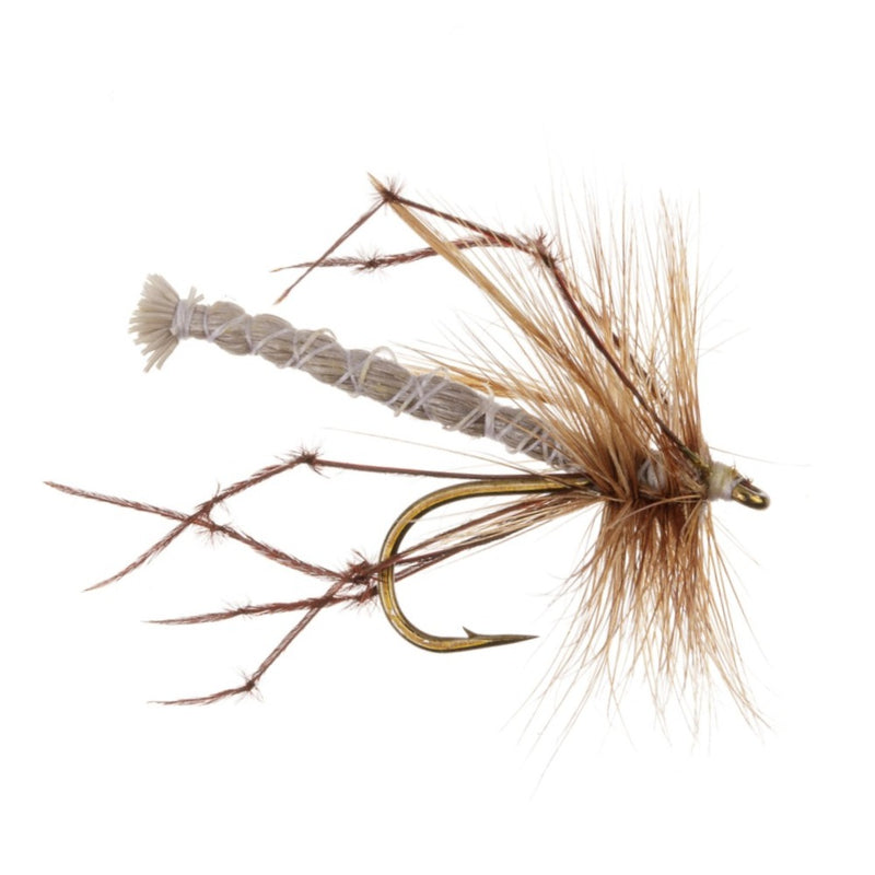 DADDY LONG LEGS FLY DADDY LONG DETACHED NATURAL