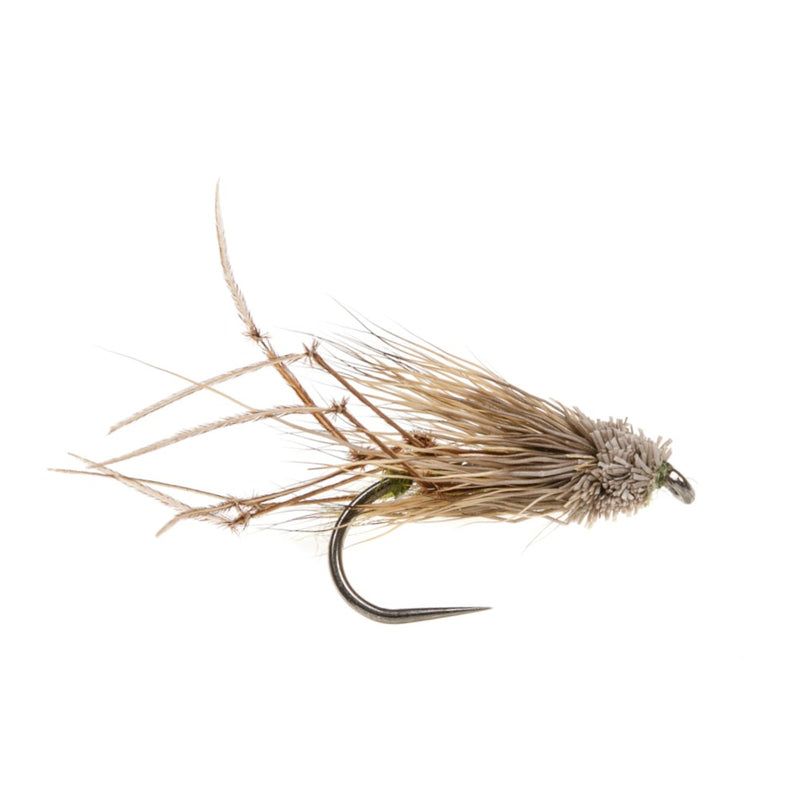 DADDY LONG LEGS BARBLESS FLY MUDDLE HEADED DADDY LONGLEGS