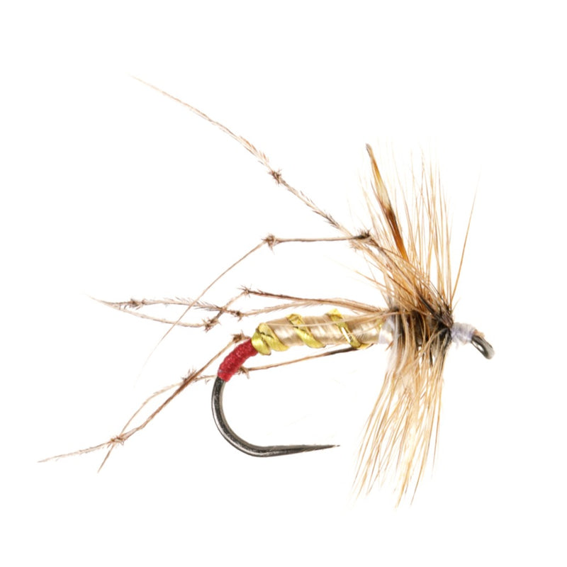 DADDY LONG LEGS BARBLESS FLY RED BUTT DADDY LONGLEGS