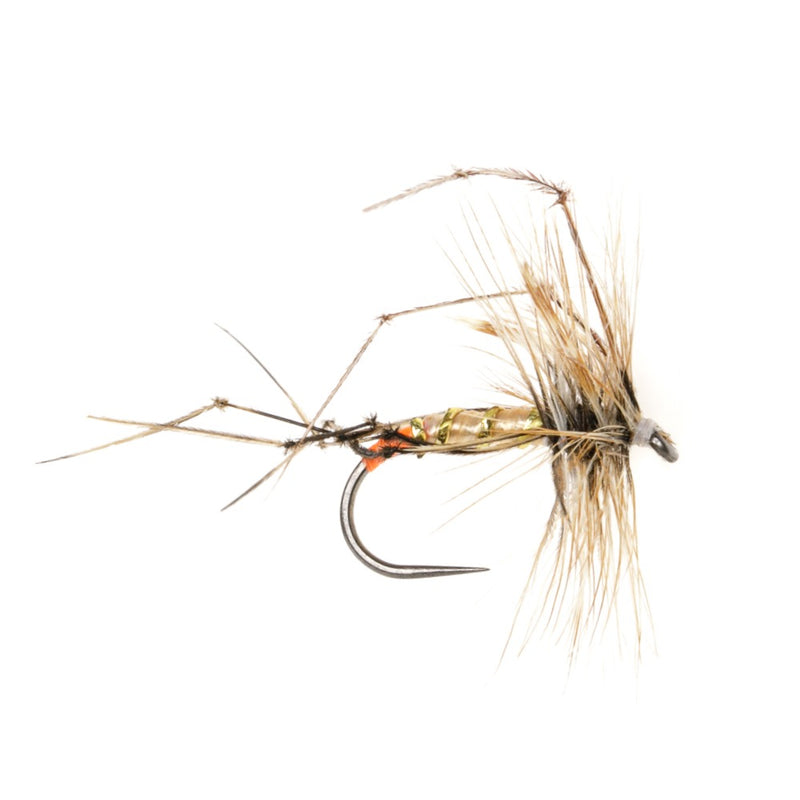 DADDY LONG LEGS BARBLESS FLY ORANGE BUTT DADDY LONGLEGS