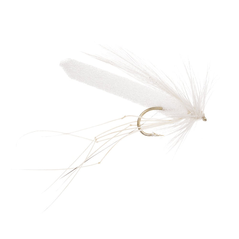 STALKING FLY GHOST DADDY