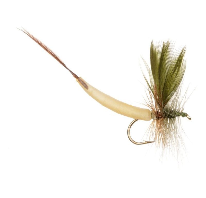 MAYFLY DETACHED FLY GREEN DRAKE