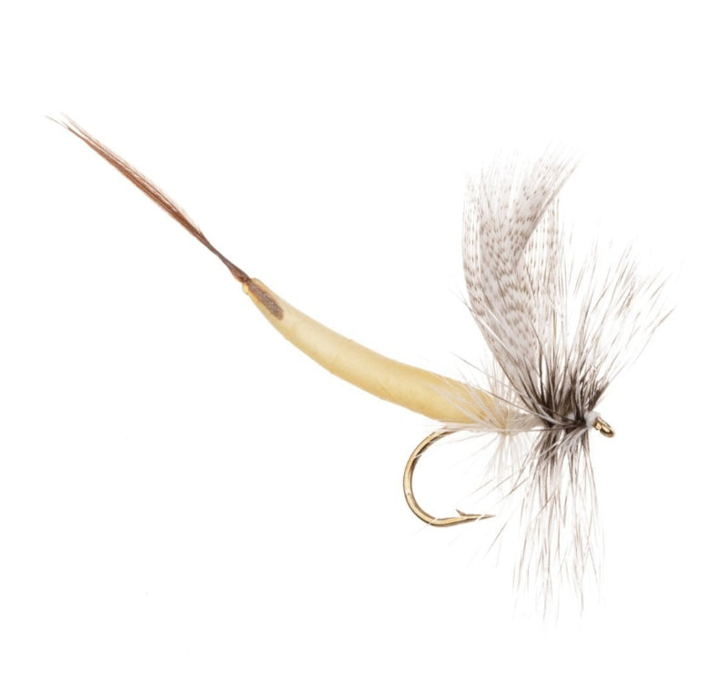 MAYFLY DETACHED FLY WHITE DRAKE
