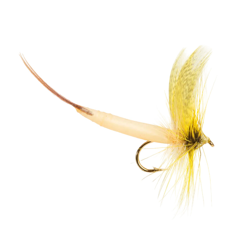 MAYFLY DETACHED FLY YELLOW DRAKE