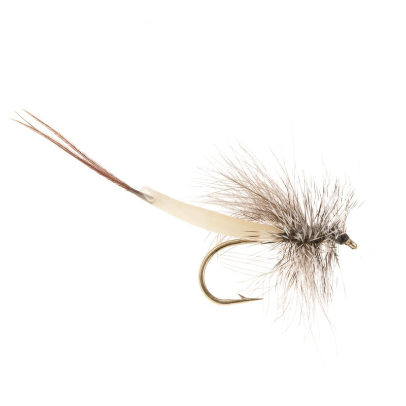 MAYFLY DETACHED FLY DETACHED CDC DRAKE